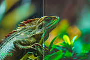 Nature Photoshop Actions 220 Bundle, an Action Add-On by ARTNEST (Thumbnail 7 of 12)