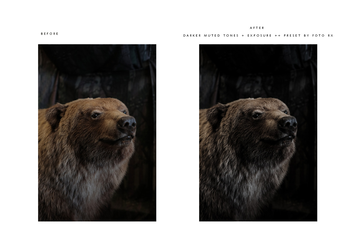 Modern + Moody Lightroom Presets preview 6