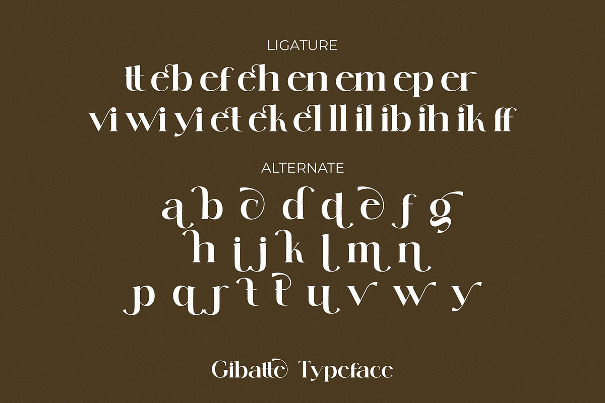 Gibatte Modern Serif Font, a Serif Font by Humaira_std (Photo 8 of 8)