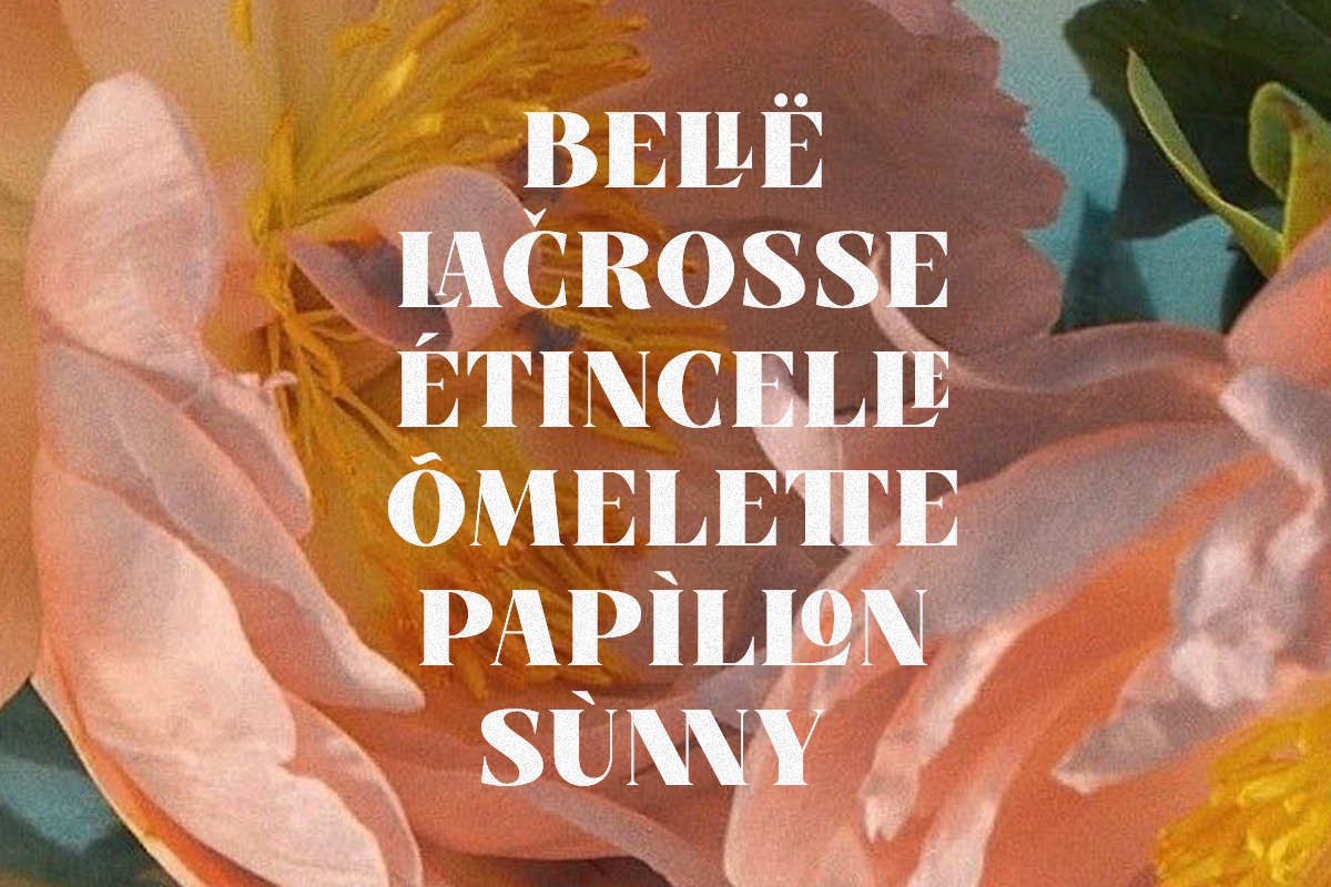 VinPoiré - Vintage font, a Serif Font by ClevUs (Photo 5 of 12)