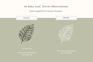 Inky Greenery Vector Illustrations