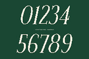 CS Rottage Pixel, a Serif Font by Craft Supply Co. (Thumbnail 4 of 8)