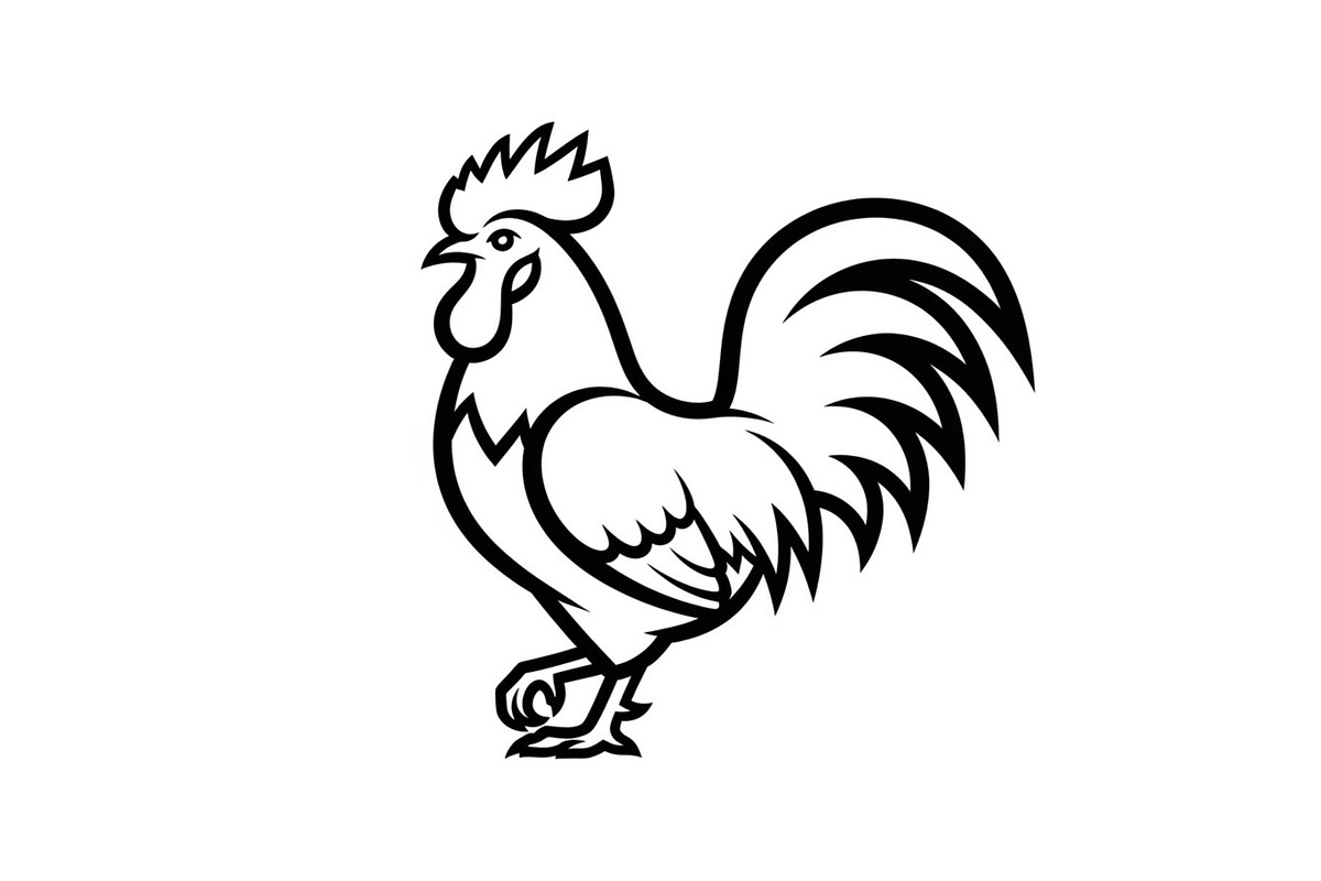 Rooster Chicken Silhouette Bundle, an Illustration by Designs_River (Photo 17 of 51)