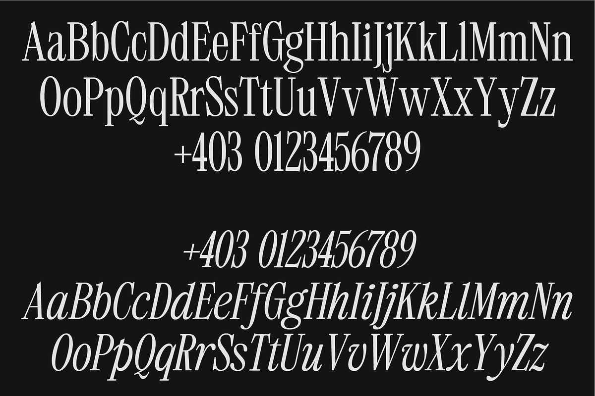 403 Mesapholic Modern Serif, a Serif Font by 403 Type Foundry (Photo 2 of 16)
