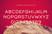 Gremiro - Modern Sans Serif, a Sans Serif Font by Typeformers (Thumbnail 4 of 5)