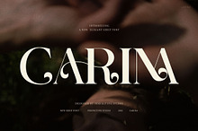 Carina Elegant Serif Font