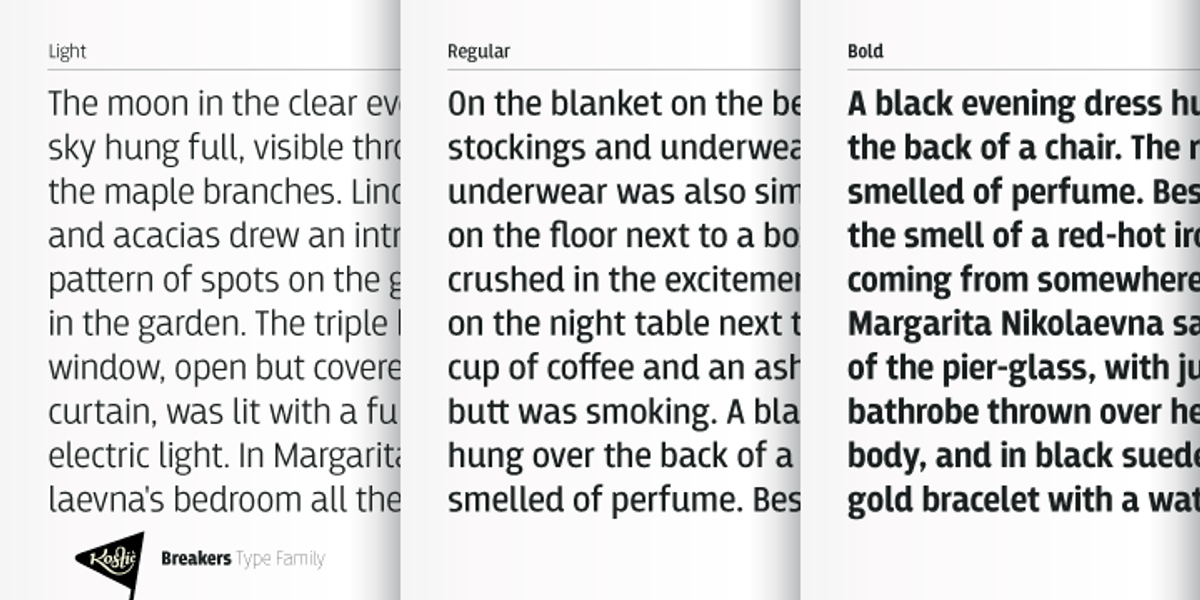 Breakers, a Sans Serif Font by Kostic Type Foundry (Photo 9 of 10)
