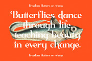 Sagfield Modern Serif Font, a Serif Font by AmorfaType (Thumbnail 5 of 10)