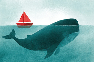 Whale near red sailboat, a Photo by Beautiful things