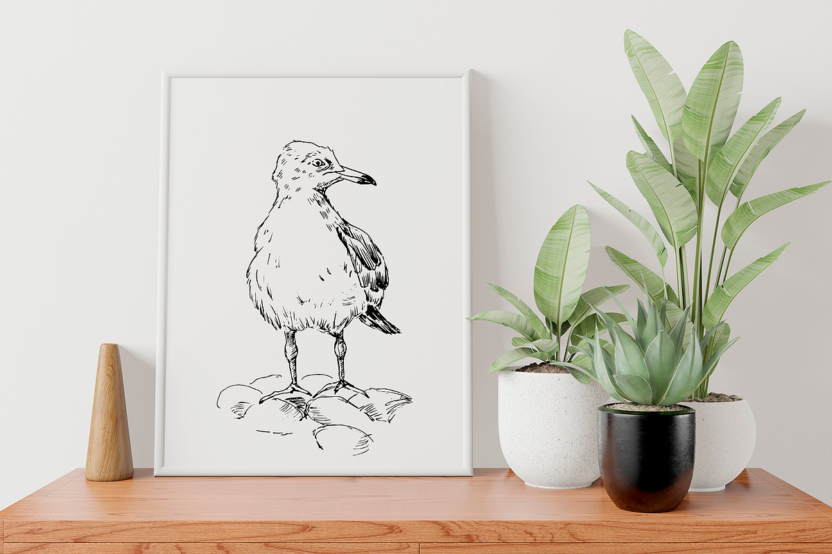 Sea gull. Hand-drawn sketch, an Illustration by Canatic (Photo 5 of 5)