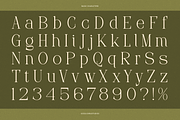 Frieren La Belle | Modern Serif, a Serif Font by Denustudios (Thumbnail 11 of 13)