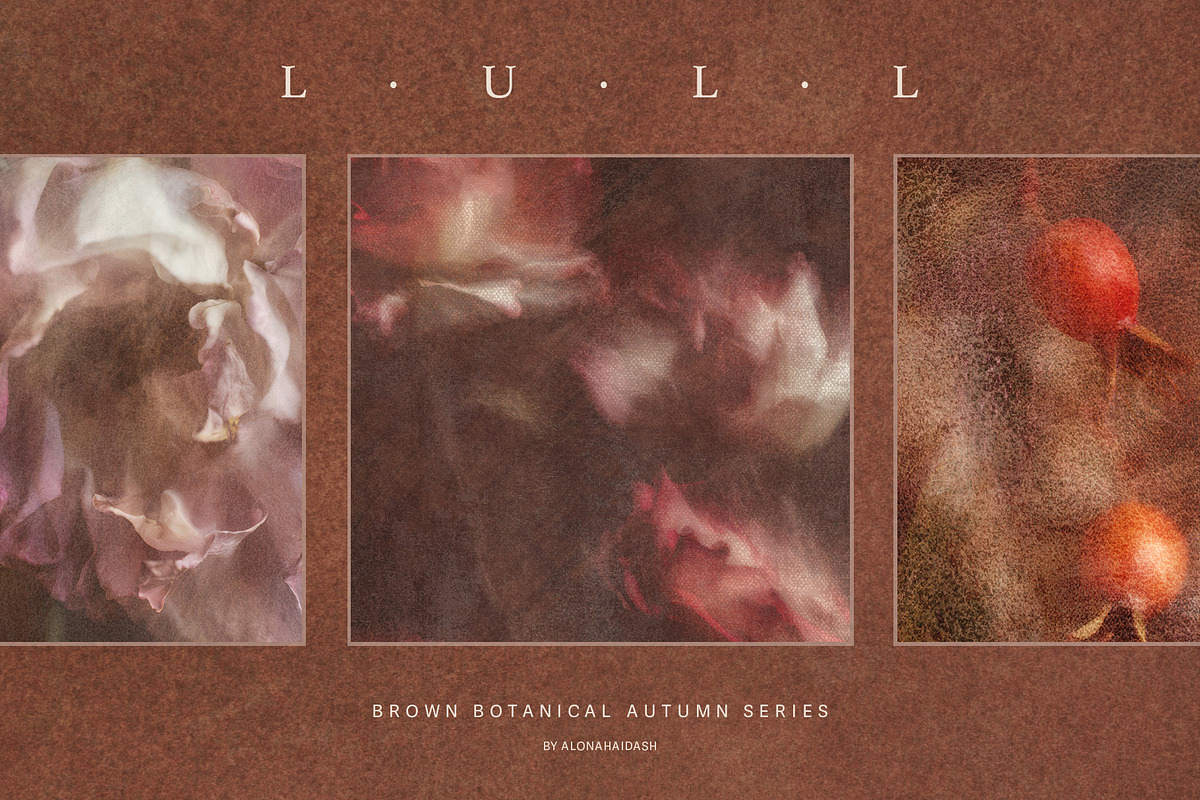 Lull · Brown Botanical Autumn Series, a Background Graphic by alonahaidash (Photo 1 of 16)