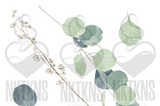 Watercolor Eucalyptus clipart, an Illustration by NKTKNS (Thumbnail 5 of 7)