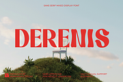 Derenis - Mixed Display Font, a Sans Serif Font by Brainwaves.Studio (Thumbnail 1 of 10)