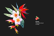 Tropical Flower Set, an Illustration by Mona Monash (Thumbnail 7 of 12)