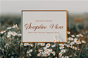 Velouris Script Wedding Calligraphy, a Script Font by Nouric Design (Thumbnail 9 of 11)