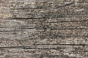 Natural wood texture patterns, a Background Photo by Schreibikus (Thumbnail 4 of 8)
