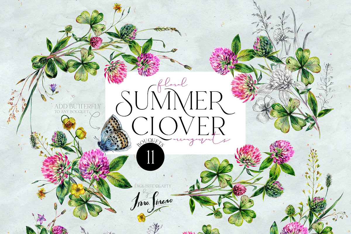SUMMER CLOVER Watercolor Wildflowers, an Illustration by Inna Sinano (Photo 4 of 17)