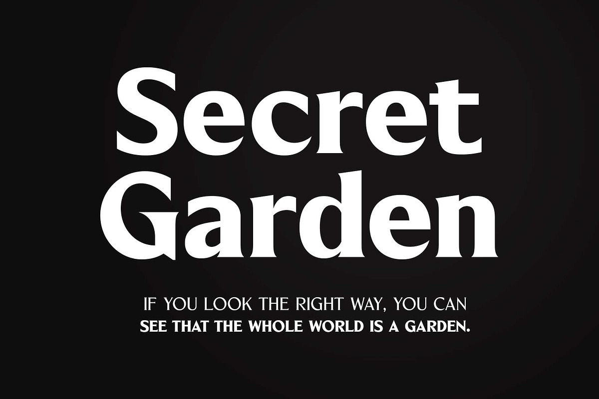 Blackney Font Family, a Serif Font by Arterfak Project (Photo 2 of 14)