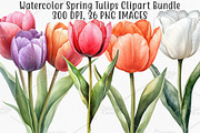 Watercolor Spring Tulips Clipart PNG, an Illustration by Canvas Craft (Thumbnail 1 of 7)