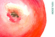 Watercolor apples. Collection., a Food Illustration by Art Watercolor (Thumbnail 3 of 3)
