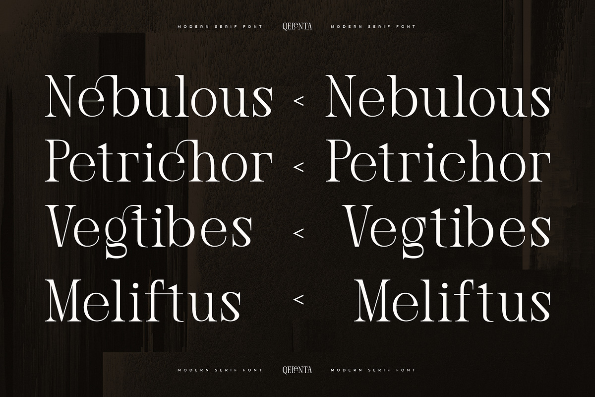 Qelenta - Modern Serif Font, a Serif Font by AmorfaType (Photo 5 of 10)