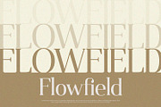 Qualifies - Serif Font, a Serif Font by Alpaprana (Thumbnail 4 of 11)