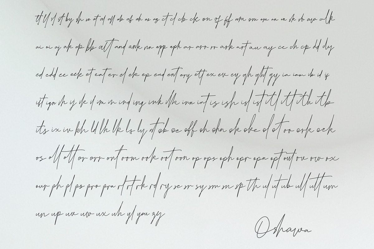 Oshawa - Professional Signature Font, a Script Font by Intuisi Creative (Photo 9 of 9)
