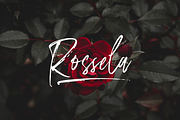 Amourist - Handwritten Font, a Script Font by Sronstudio (Thumbnail 6 of 9)