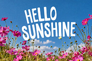 Novorma - Hand-Drawn Display Font, a Handwritten Font by Grand Design (Thumbnail 3 of 9)