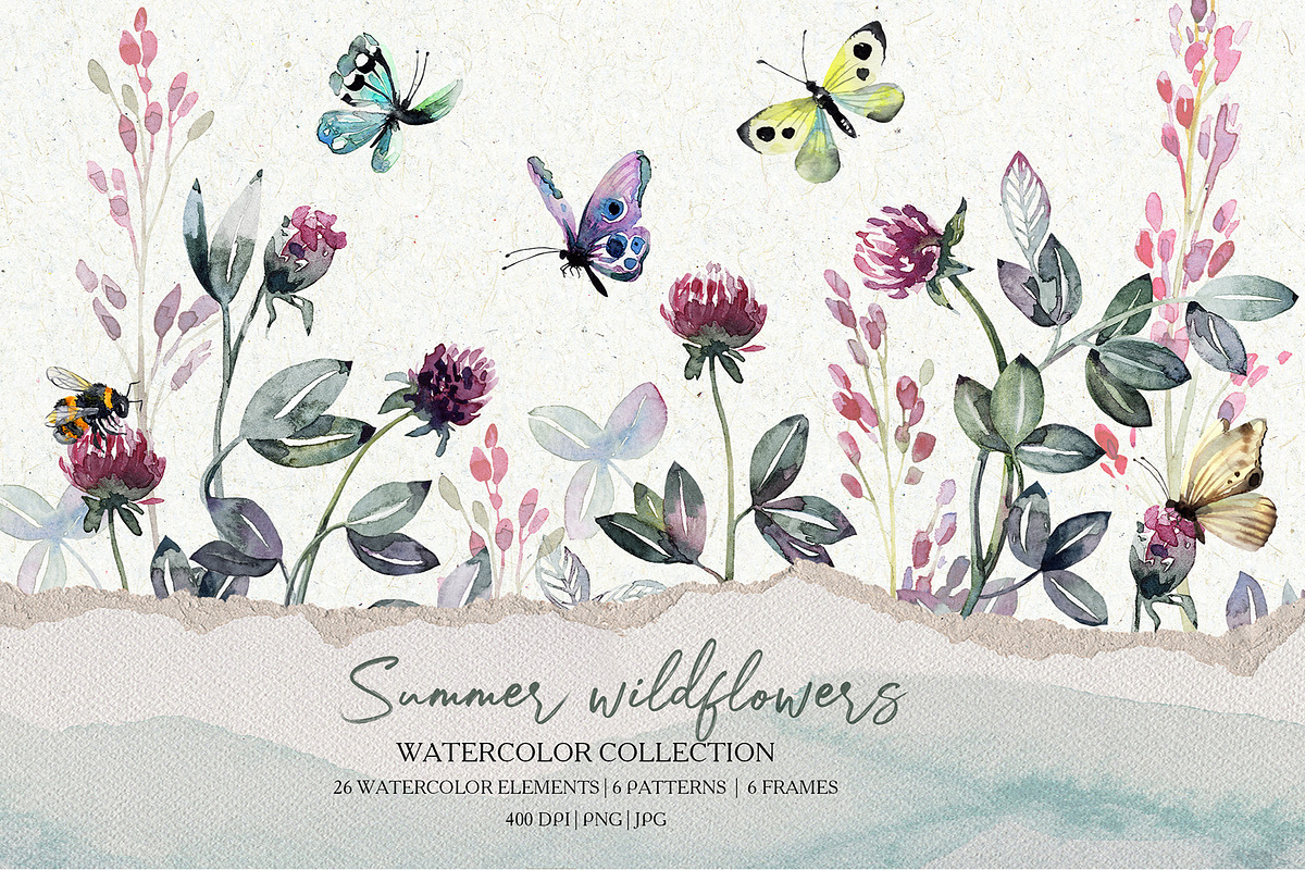 Watercolor set flowers of clover, an Illustration by RushkinaAntonina (Photo 1 of 7)
