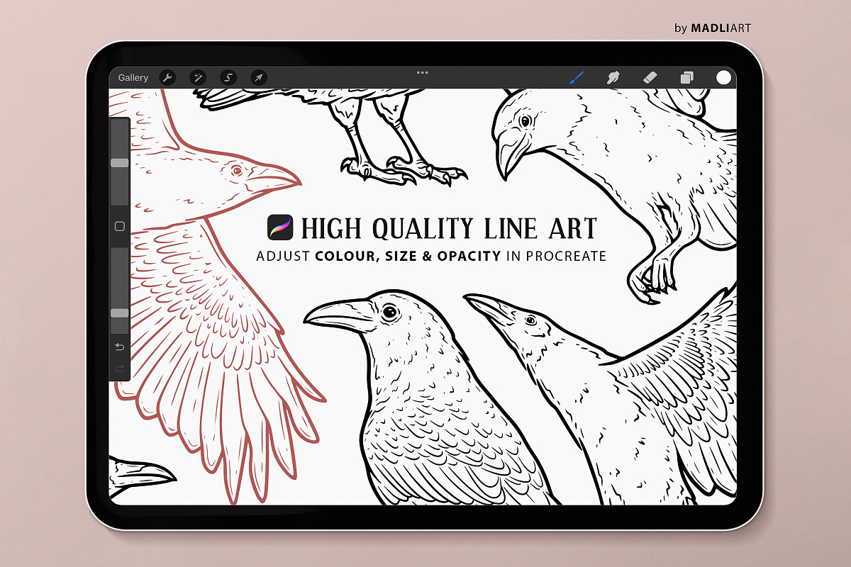 Raven Bird Procreate Brush Stamps, a Shape Add-On by MadliArt (Photo 3 of 5)