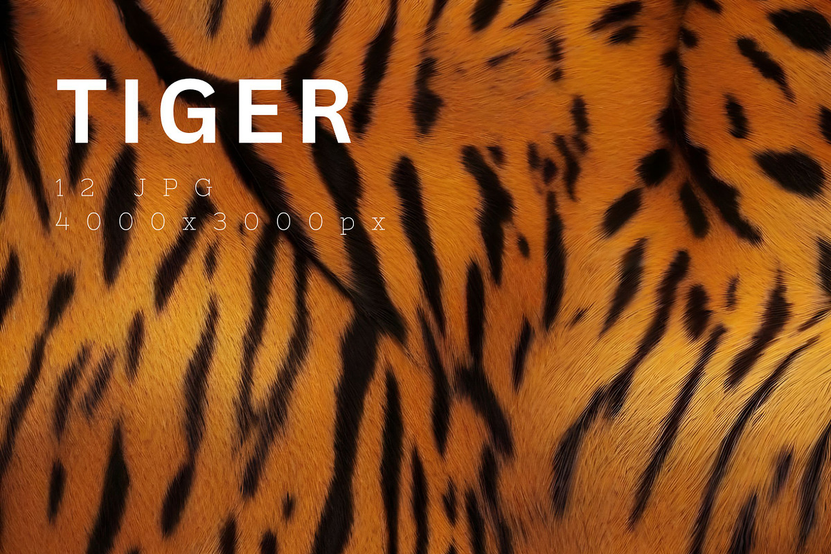 Safari Animals Skin Print Texture, a Graphic by UniqueMe (Photo 6 of 21)