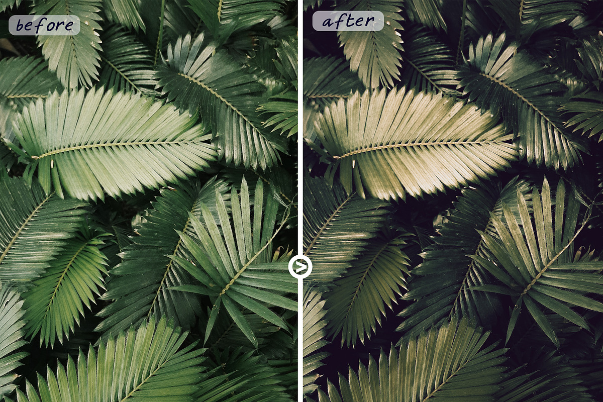 BALI HOLIDAY -  LUTs Pack, a Preset Add-On by CineMart (Photo 10 of 13)