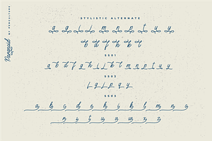 Paranoid - Elegant Monoline Font