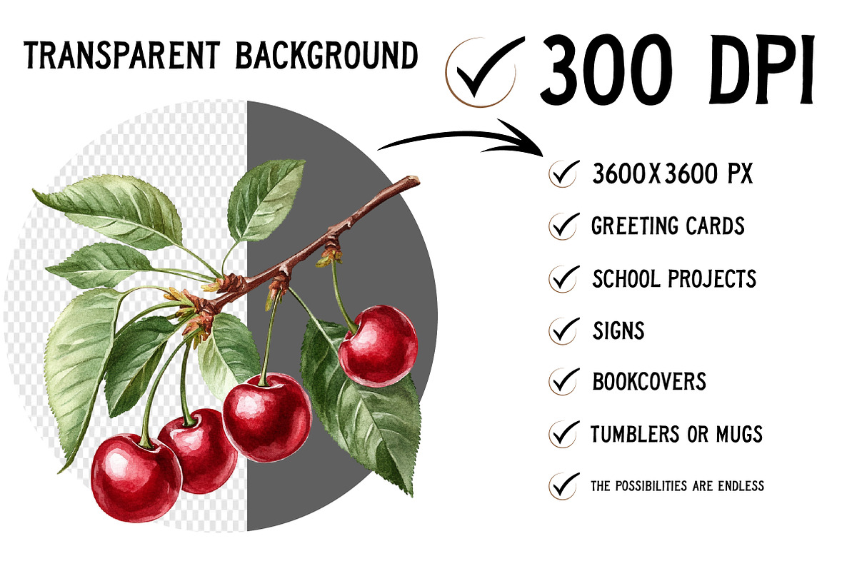 Watercolor Cherry Clip Art, an Illustration by Craft Nest (Photo 2 of 12)