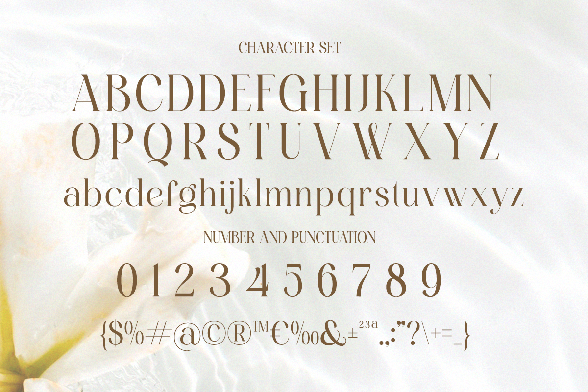 Serenity Bloom - Elegant Stylish, a Serif Font by Qweera Studio (Photo 11 of 11)