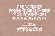 Grisha Font, a Slab Serif Font by Grontype (Thumbnail 9 of 10)