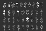 Set of hand drawn dividers & frames, an Object Graphic by Anatartan Design (Thumbnail 3 of 6)