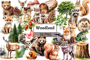 Woodland Animals Clipart Bundle, an Animal Illustration by Mash Mash Stickers