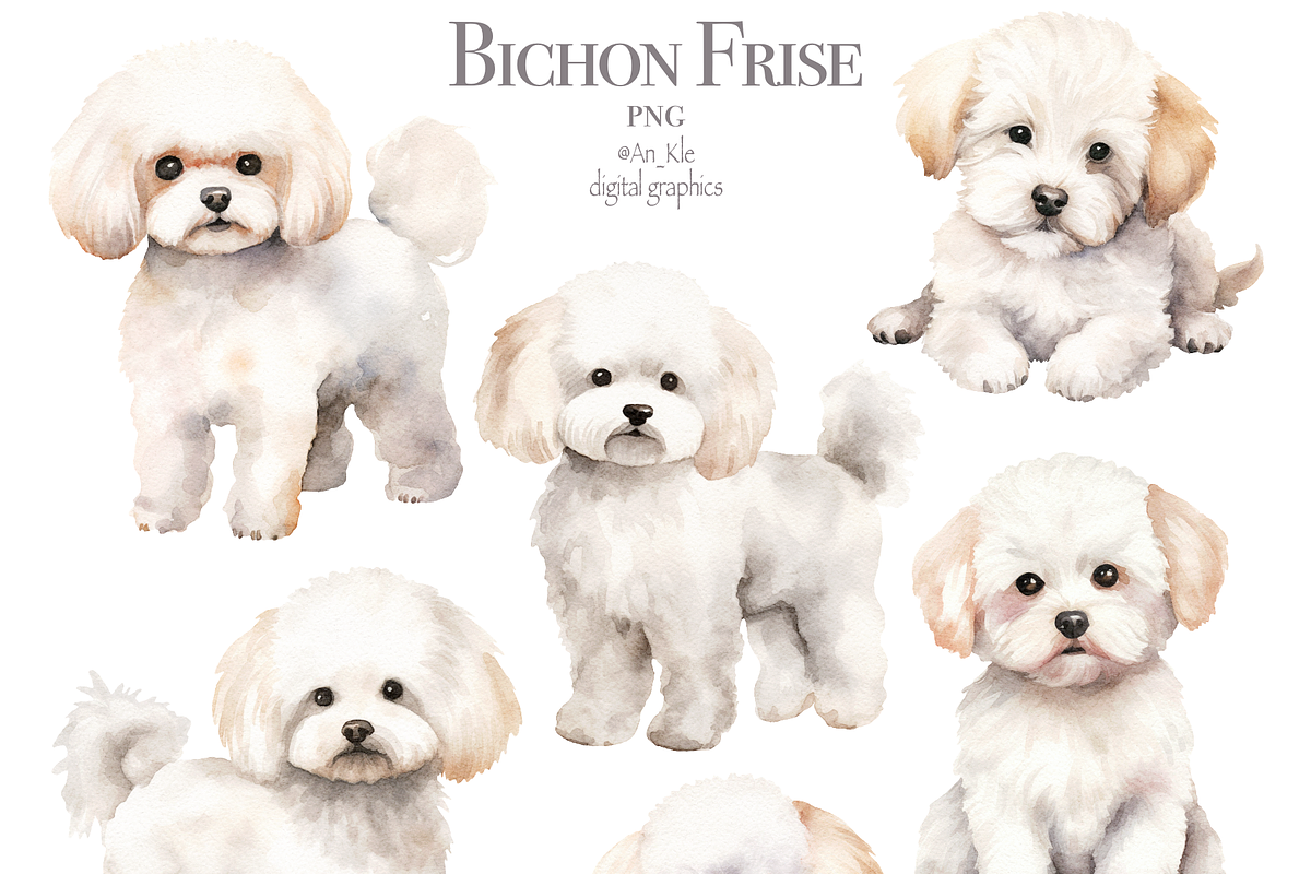 Bichon Frise, an Animal Illustration by TheCuteShop (Photo 2 of 3)