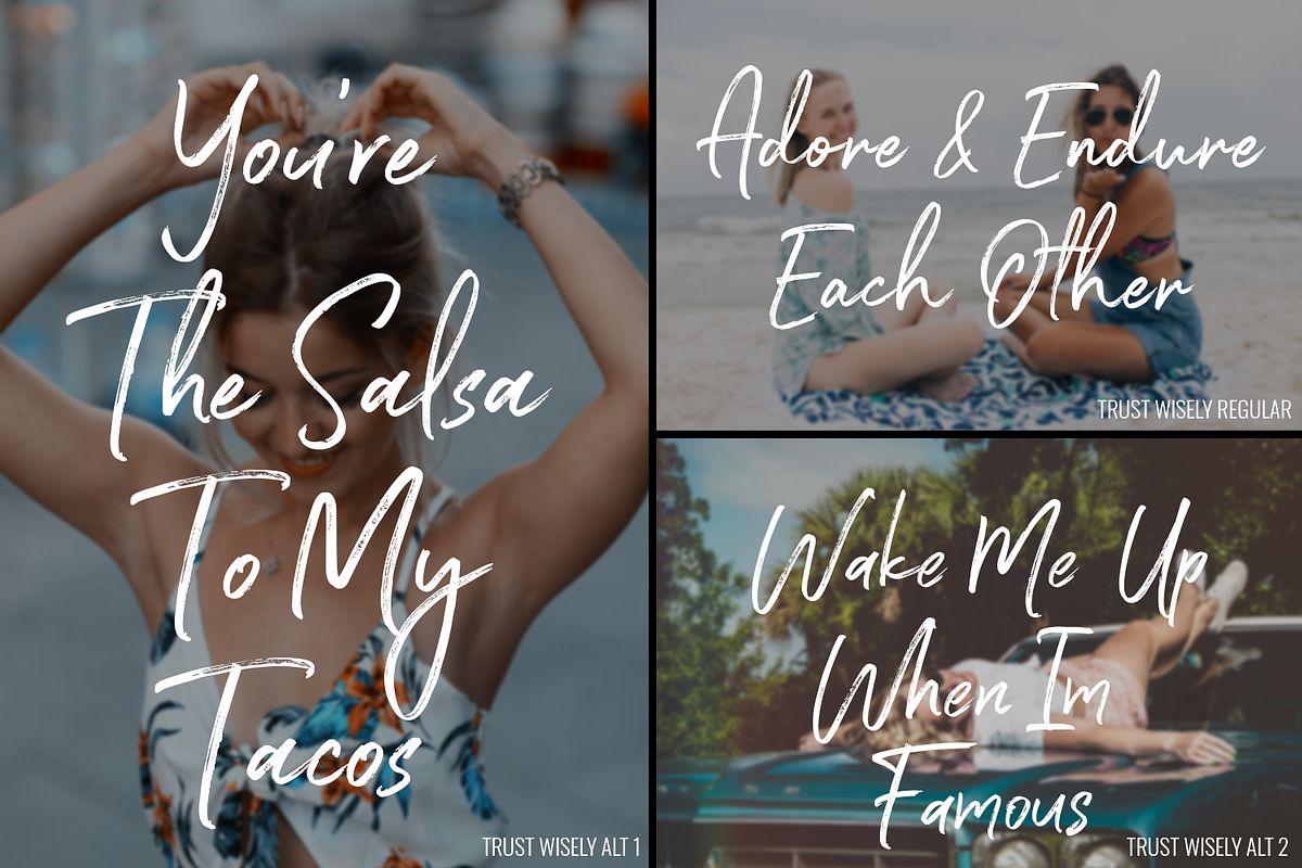 Trust Wisely Fonts preview 3