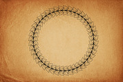 Over 250 Vector Decorative Elements, an Object Graphic by Damien (Thumbnail 3 of 5)