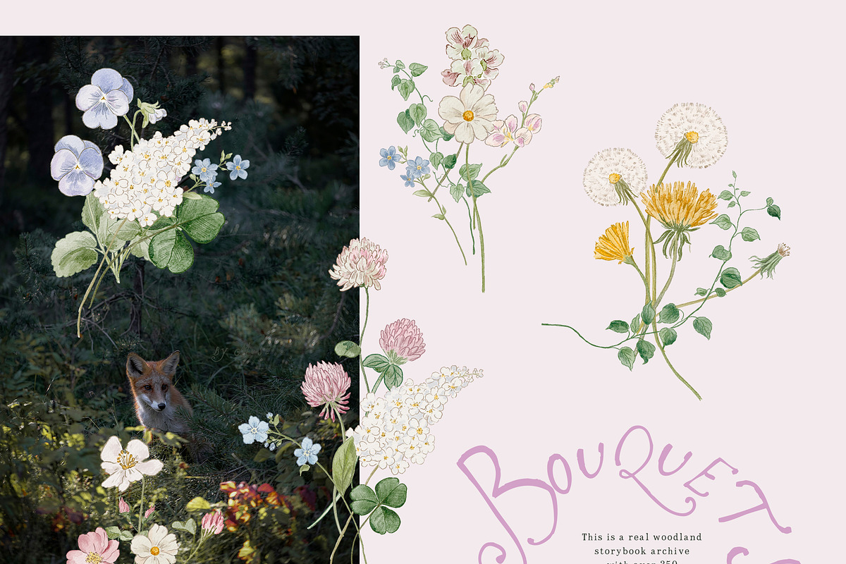 Bramblewood Tales Woodland Clipart, a Decorative Illustration by Muse Artist (Photo 8 of 29)