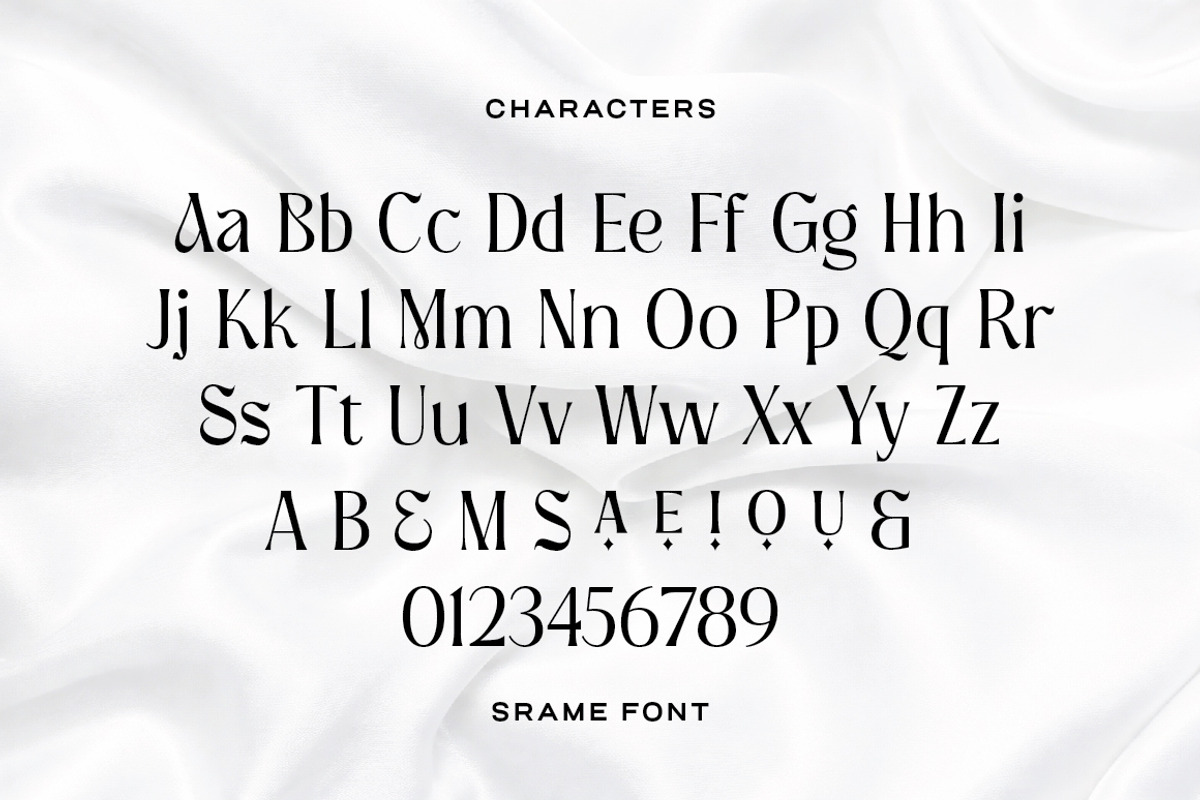 Srame - Modern Stylish Serif Font, a Serif Font by Typebae (Photo 9 of 10)