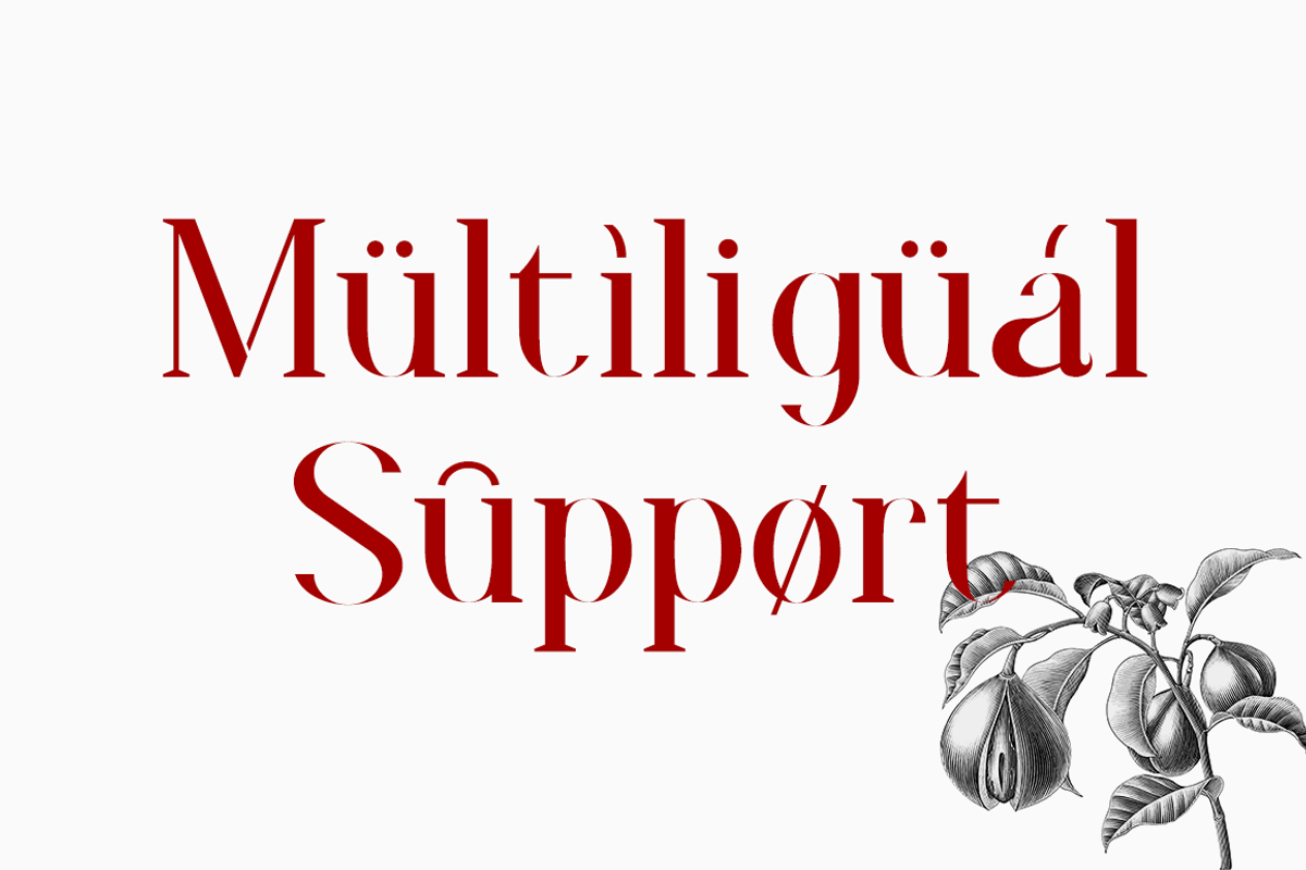 Faradize - Elegant Serif Font, a Serif Font by RockboyStd (Photo 9 of 12)