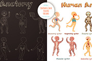 Human Anatomy for kids, an Education Illustration by Shusha Guna Art (Thumbnail 5 of 9)