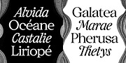 Caliste Text, a Serif Font by A is for... (Thumbnail 2 of 10)