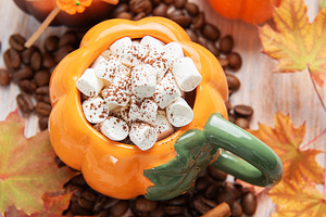 Pumpkin shaped mug with hot chocolate and marshmallows, a Food & Drink Photo by Olena Rudo