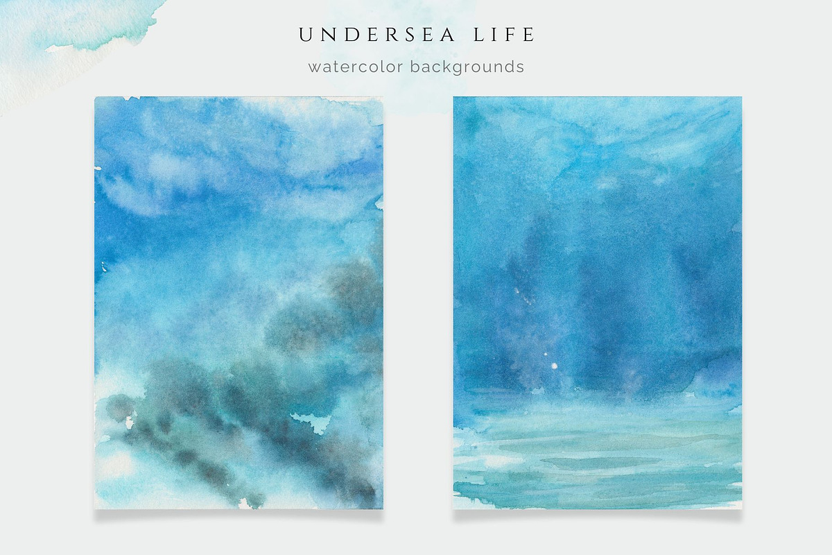 Undersea Life Watercolor, an Animal Illustration by Kolorata Art (Photo 6 of 14)